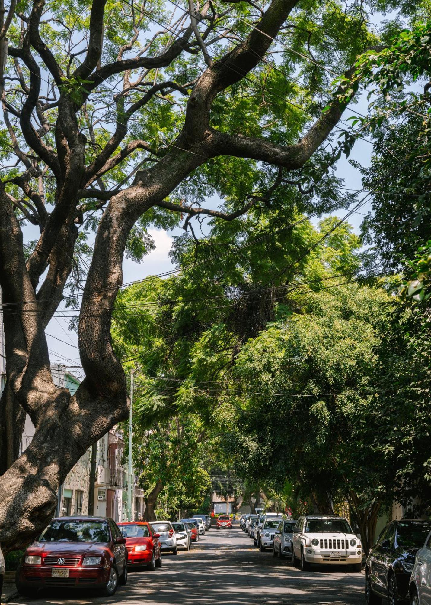 Sonder Miravalle Meksyk Zewnętrze zdjęcie